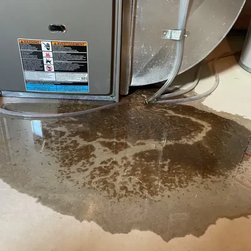 Appliance Leak Cleanup in Elizabethtown, IL